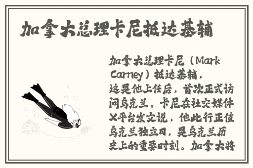 一对一在线视频在线